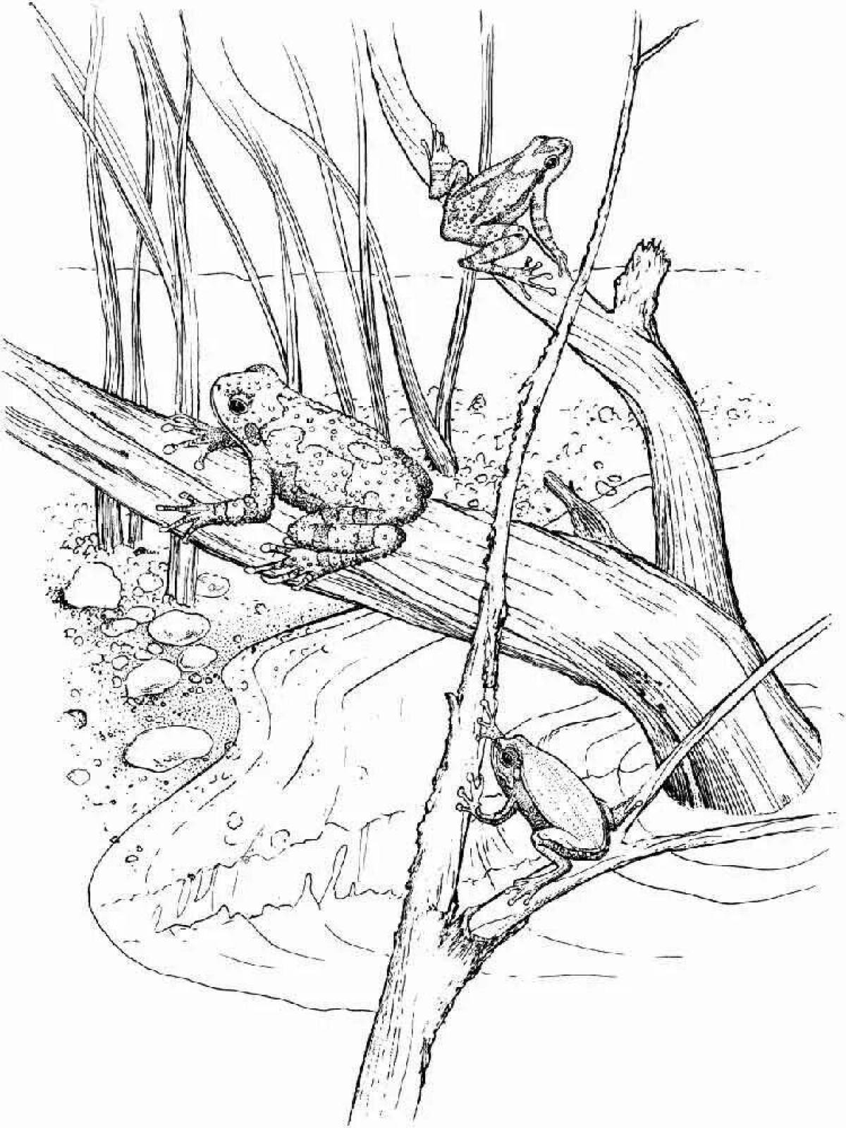 Shiny swamp coloring pages