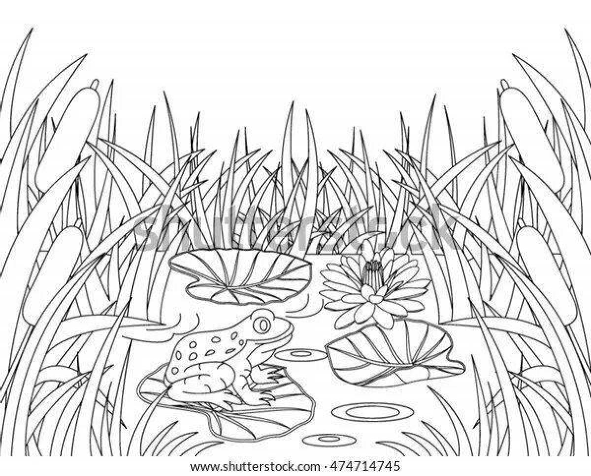 Coloring page dazzling swamp