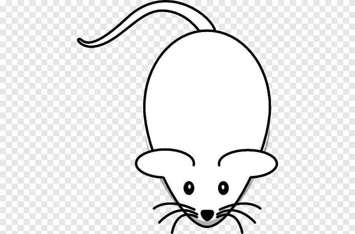Фото Color-magical coloring page mouse видео