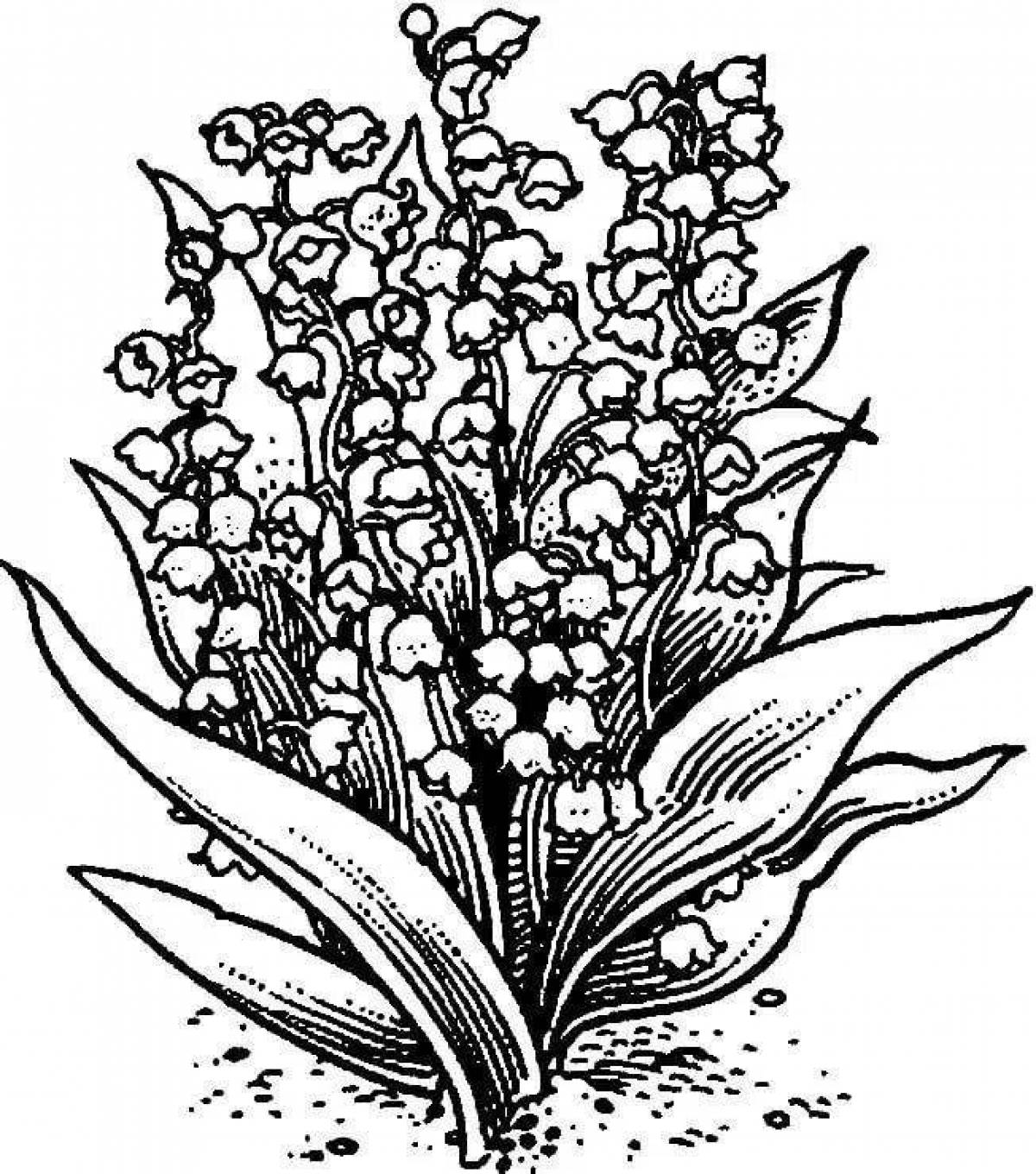 Exquisite May lily of the valley coloring book