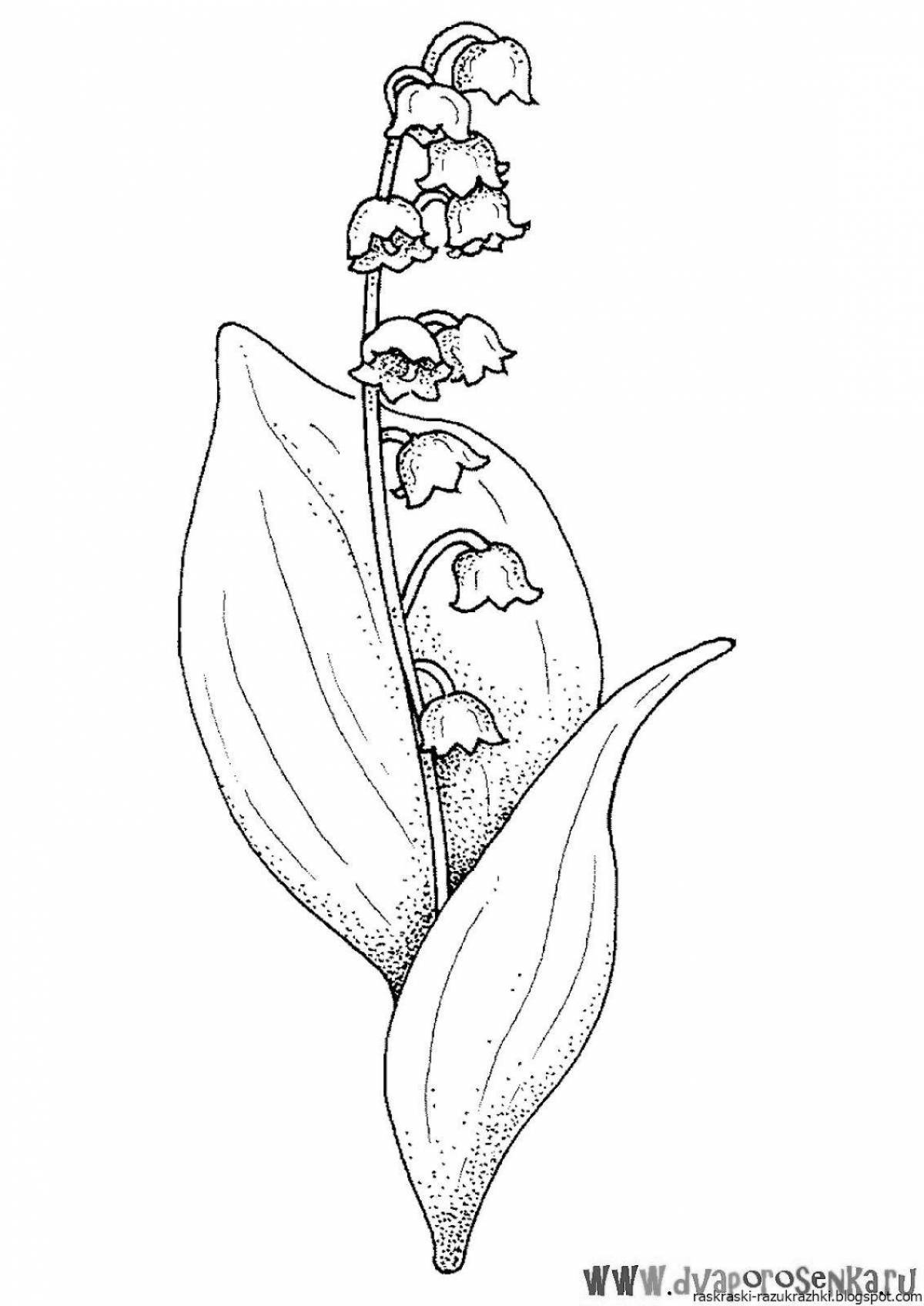 May lily of the valley coloring page