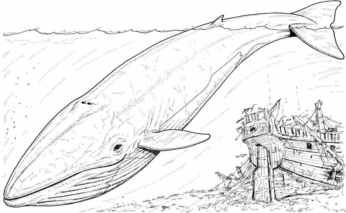 Фото Блестящая страница раскраски горбатого кита