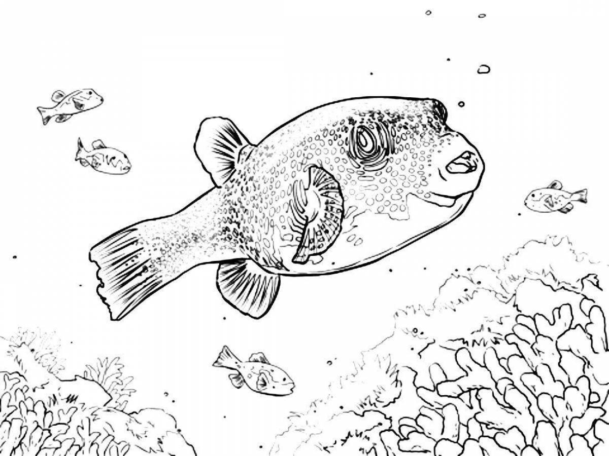 Анимированная страница раскраски рыбы фугу