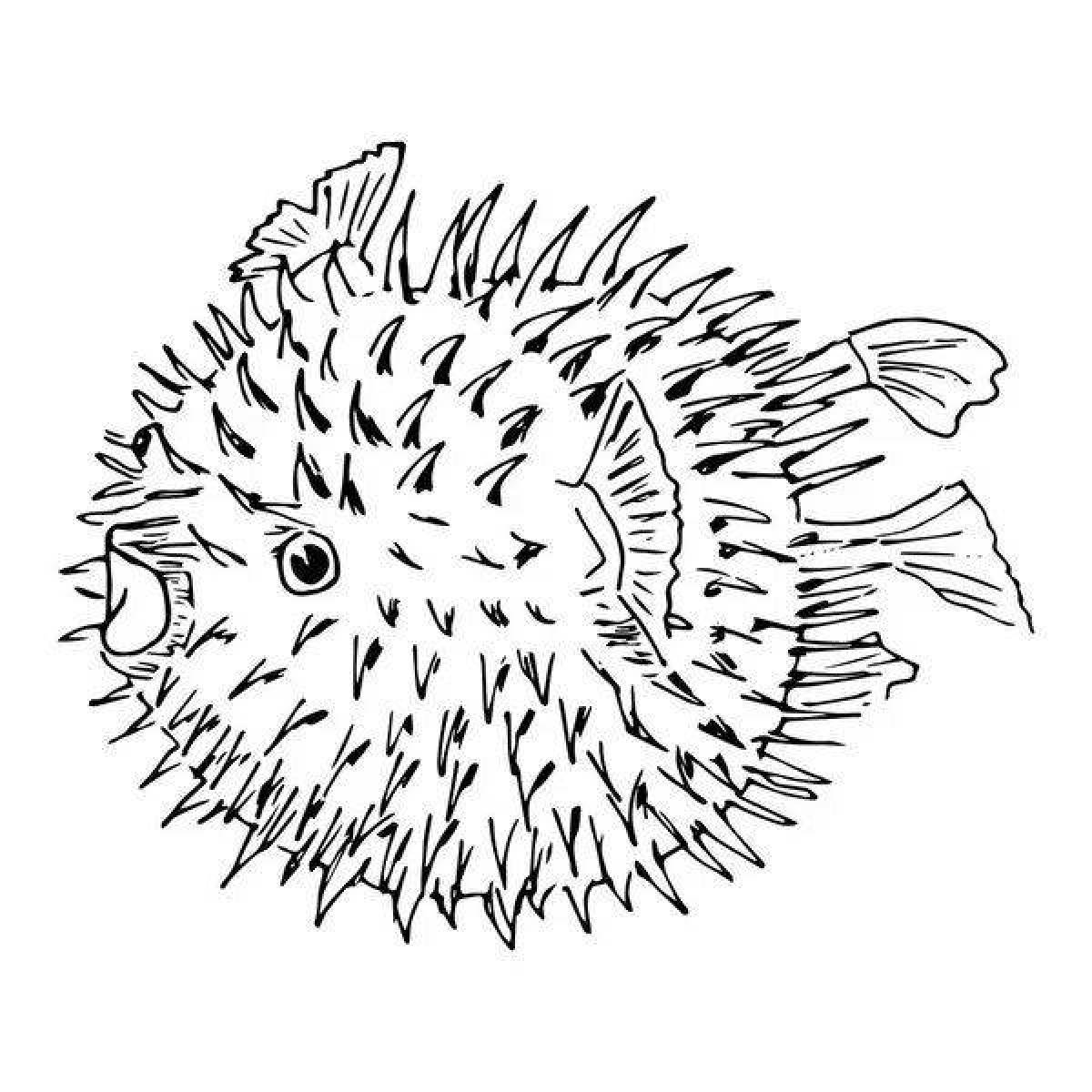Beautiful puffer fish coloring page