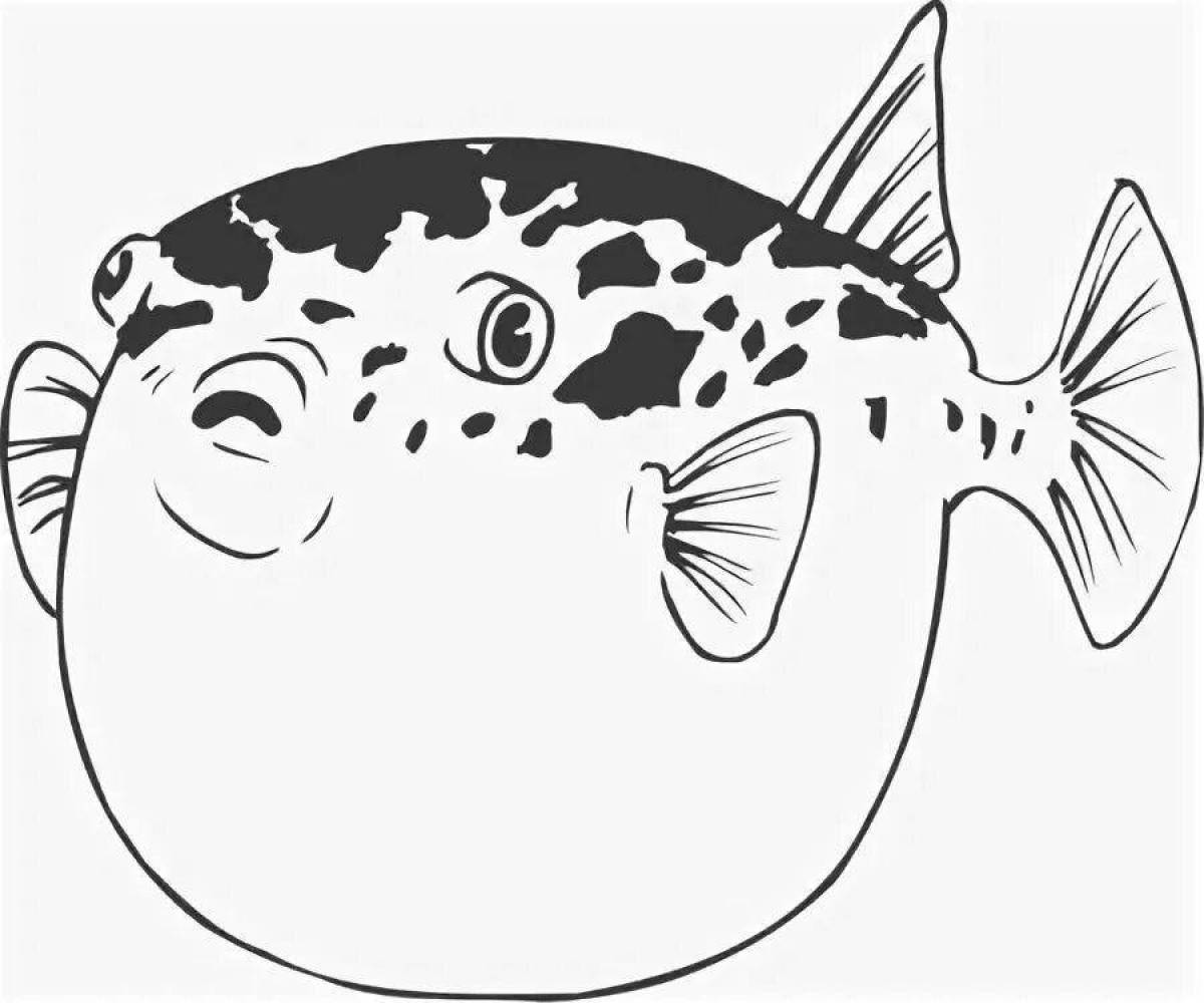 Раскраска волшебная рыба-фугу
