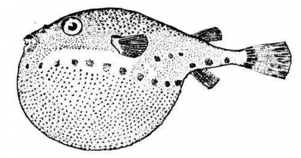 Модная страница раскраски рыбы фугу
