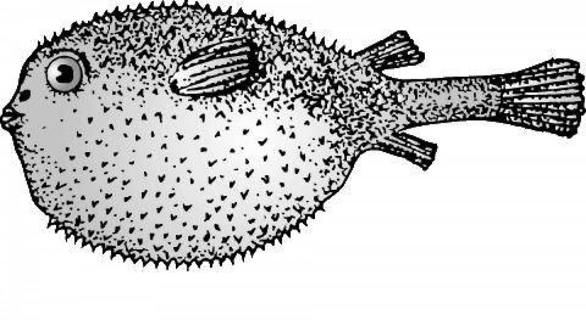 Modern puffer fish coloring page