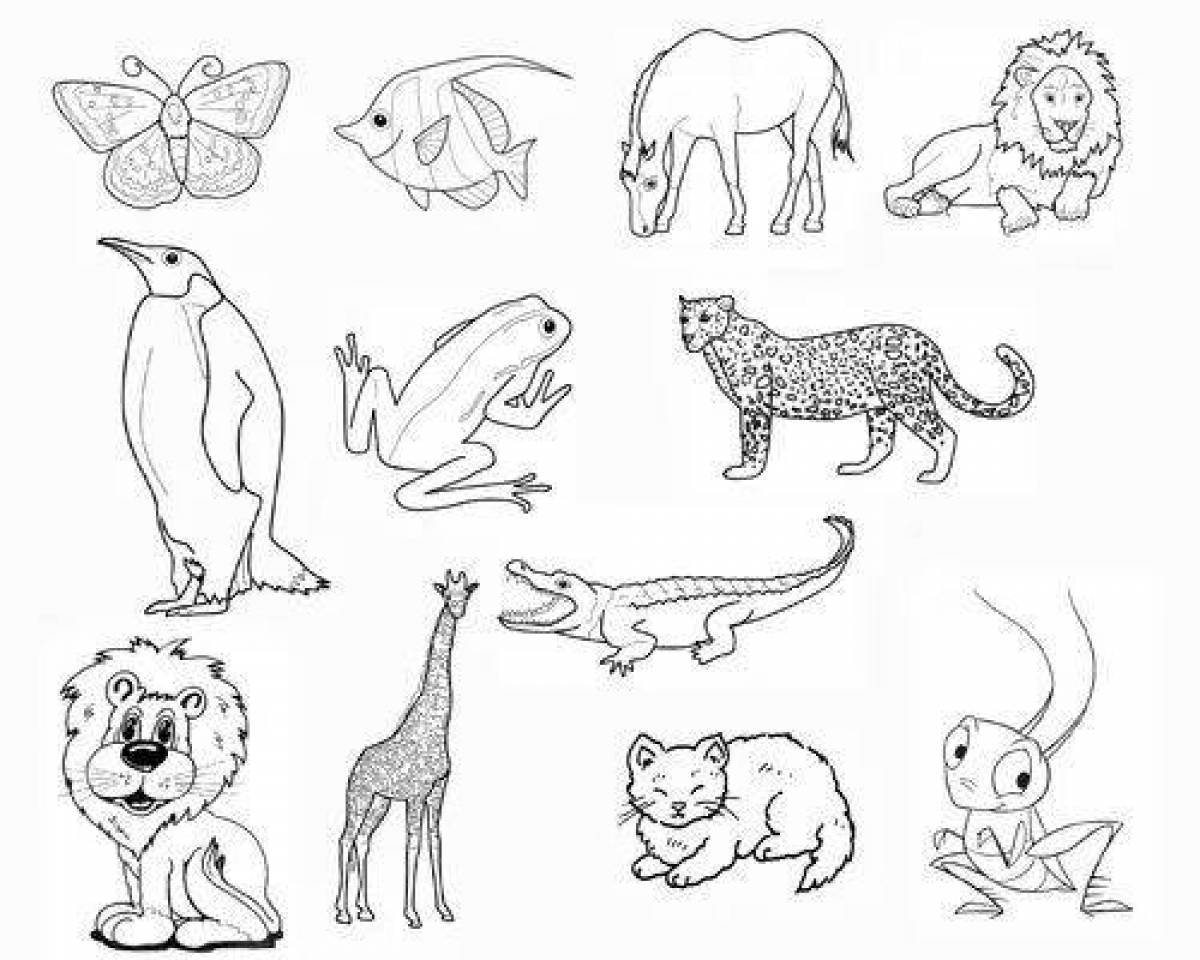 Фото Увлекательная раскраска разных животных