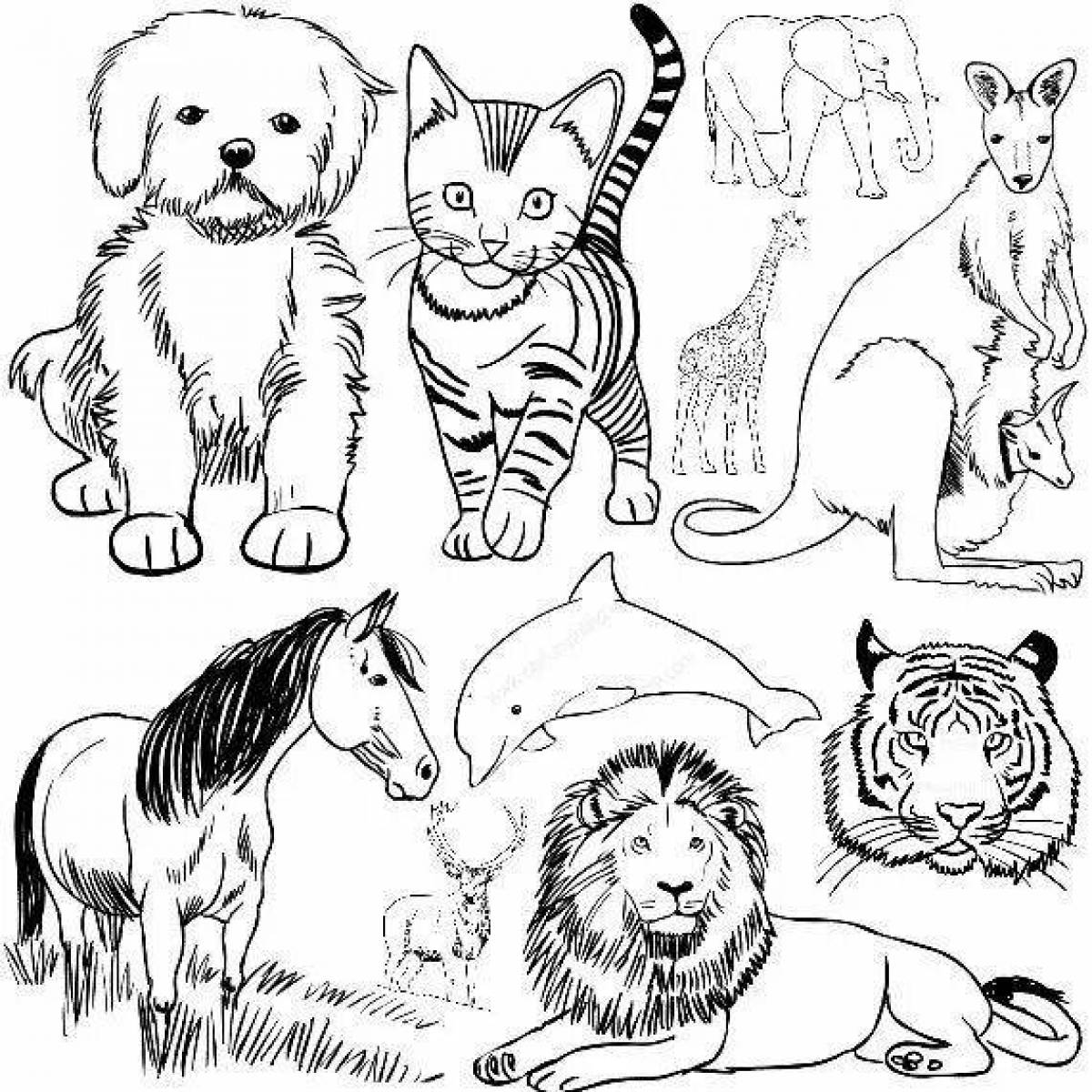 Miscellaneous animals #6