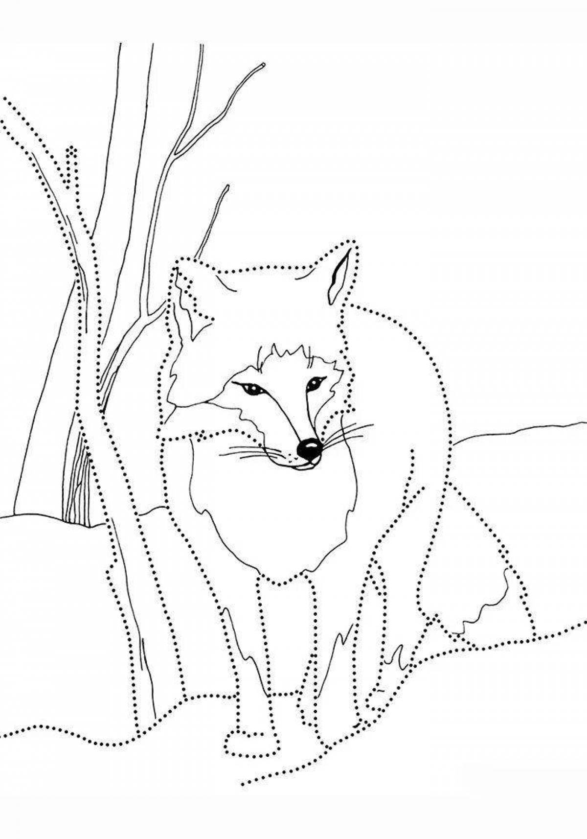 Major coloring fox in winter
