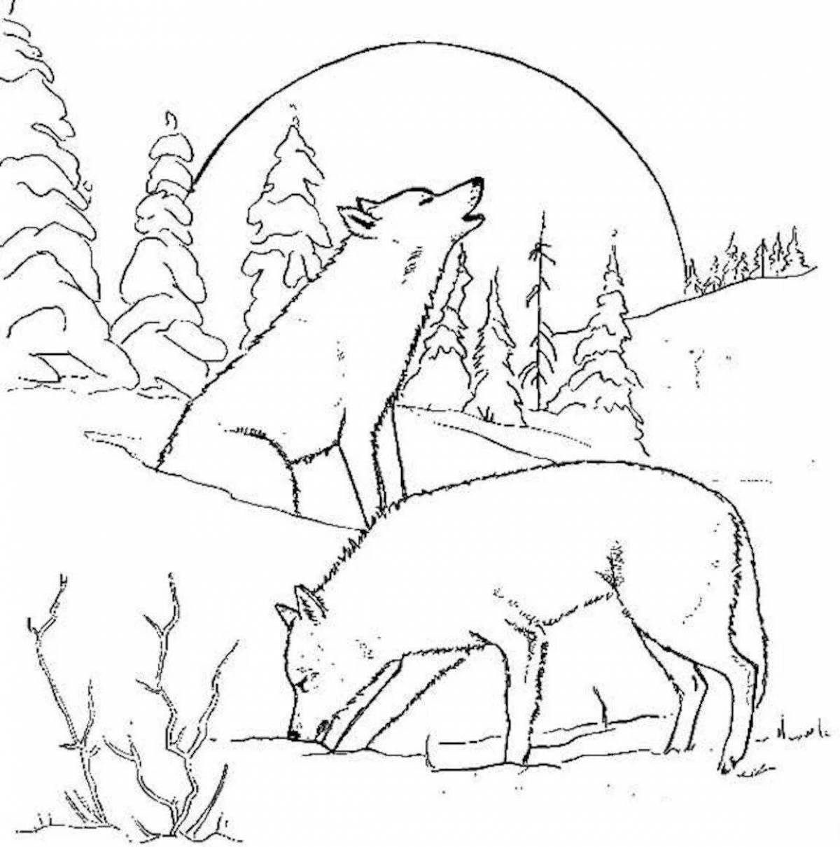 Radiant coloring page fox in winter