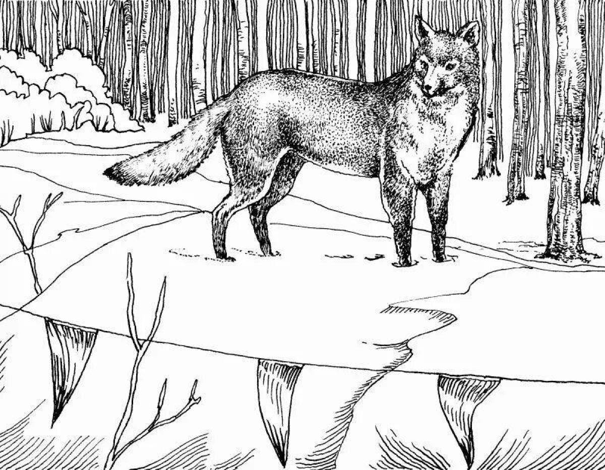 Fox in winter #1