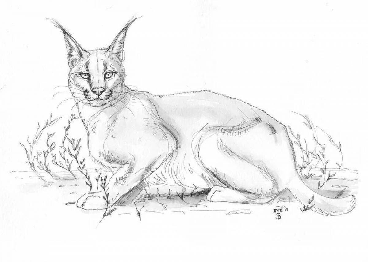 Яркая раскраска slap lynx