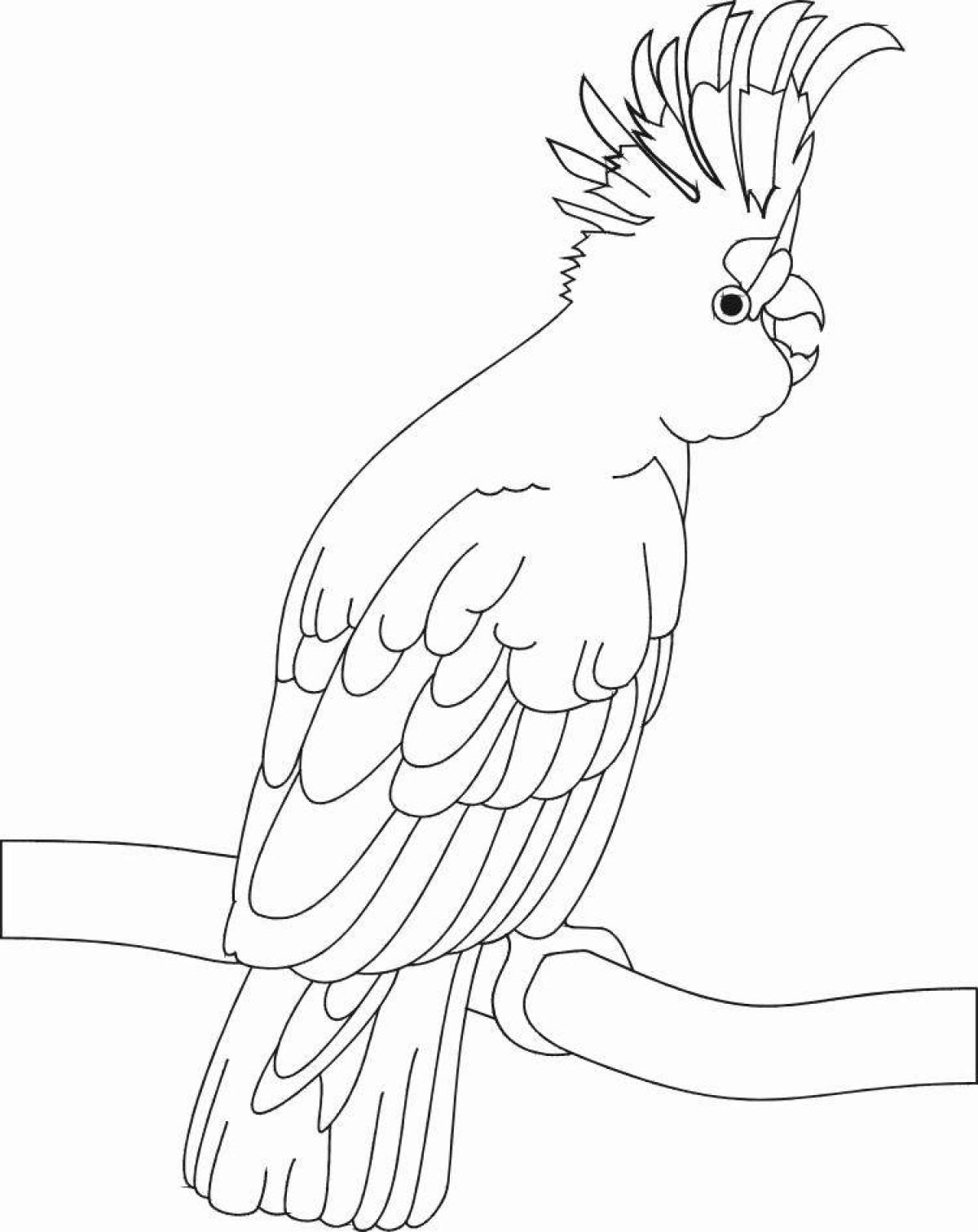 Фото Буйный попугай minecraft coloring page