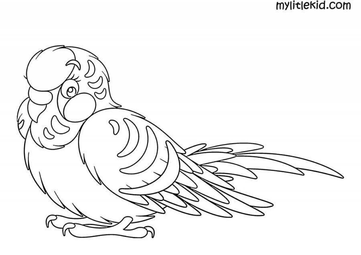 Фото Ласковый попугай раскраска майнкрафт