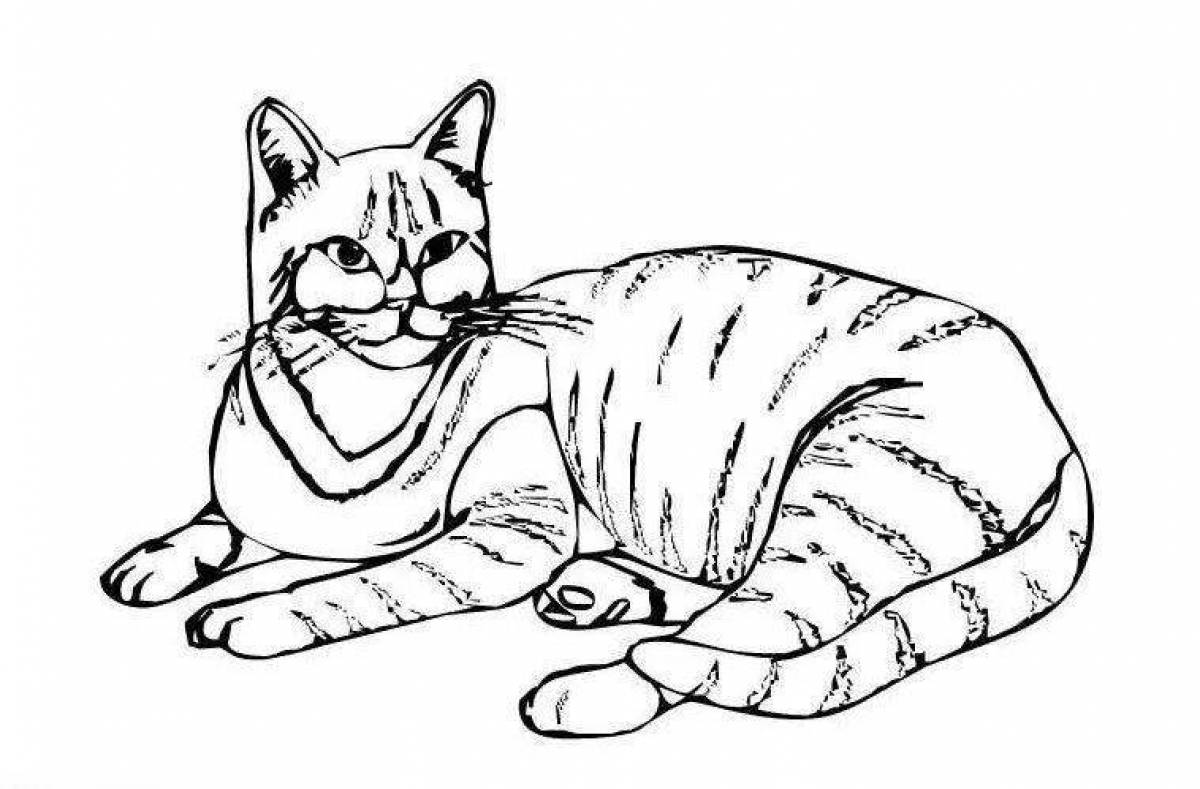 Фото Раскраска величественный полосатый кот
