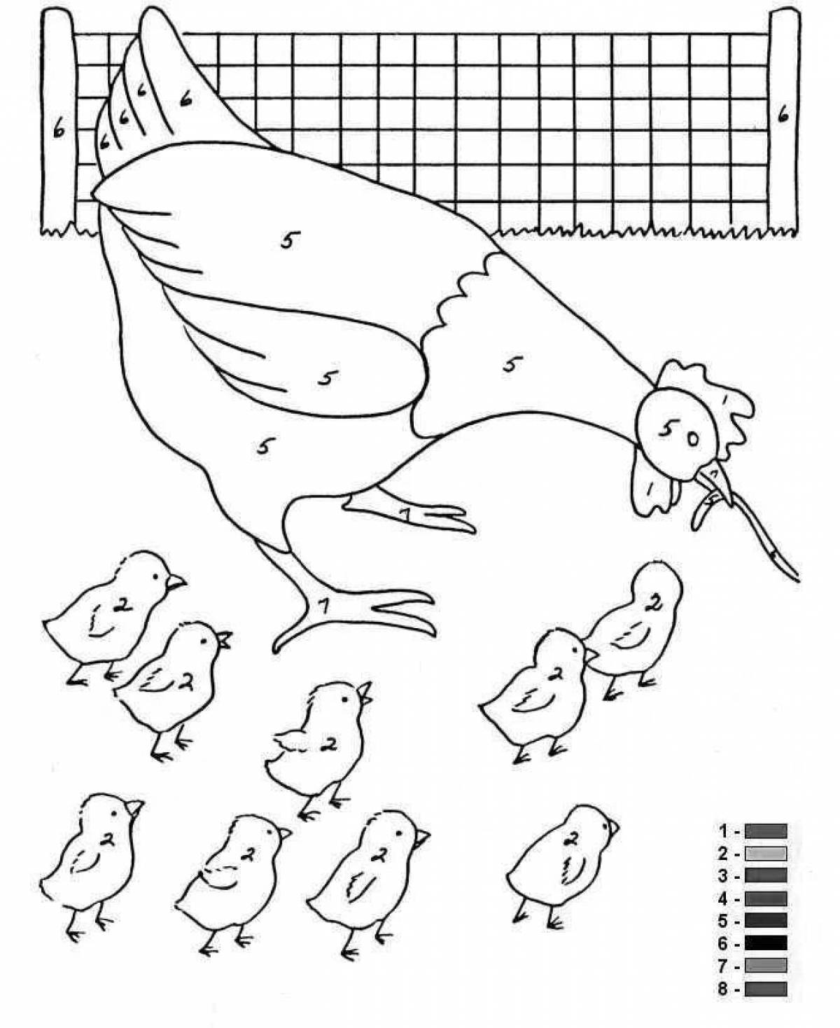 Домашние птицы задания. Домашние птицы задания для детей. Курица с цыплятами задания для дошкольников. Домашние птицы раскраска с заданиями. Домашние птицы задания для детей 5-6 лет.