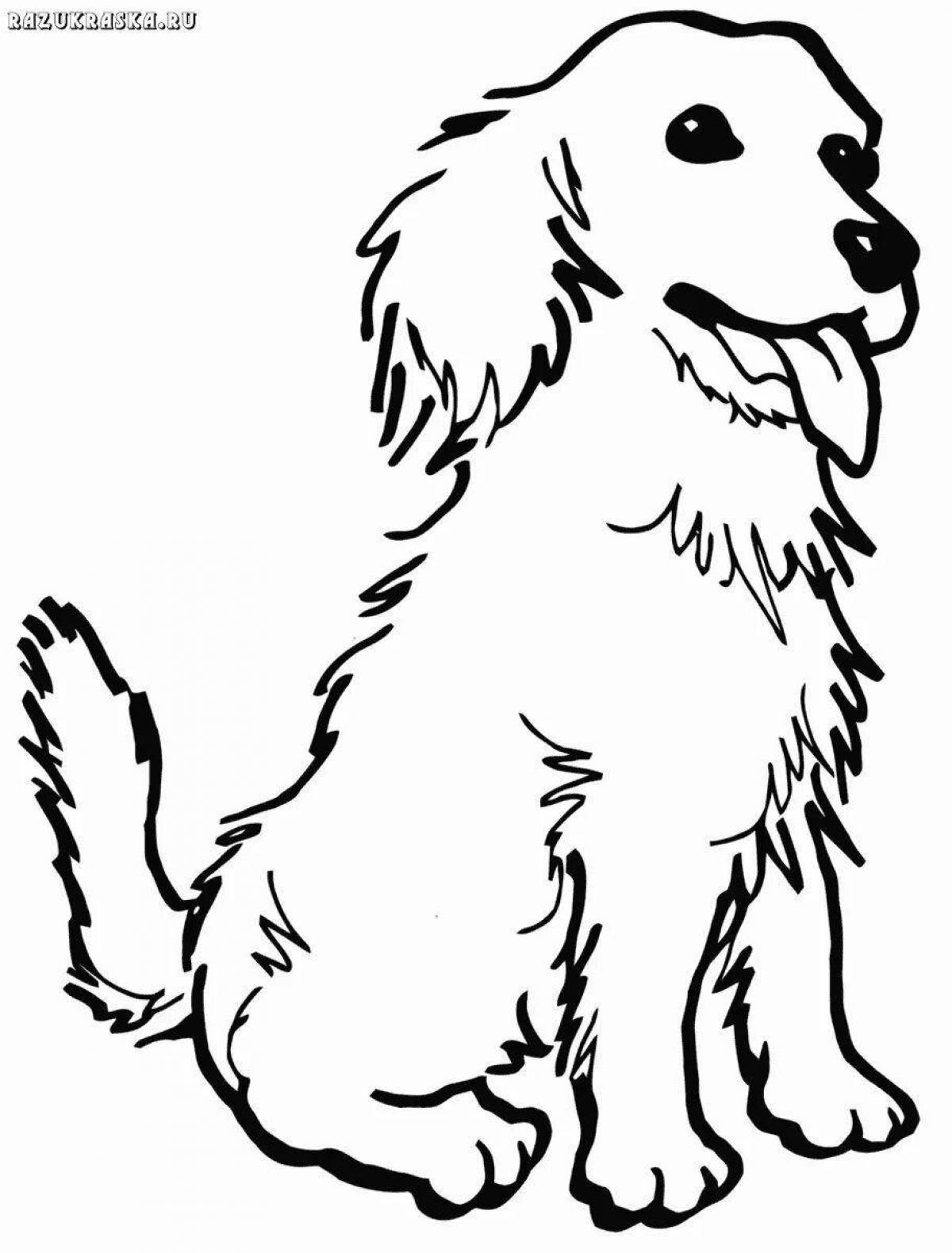 Рисунок барбос и жулька 4 класс легко. Раскраска "собаки". Раскраска собачка. Собака раскраска для детей. Раскраска маленькая собачка.
