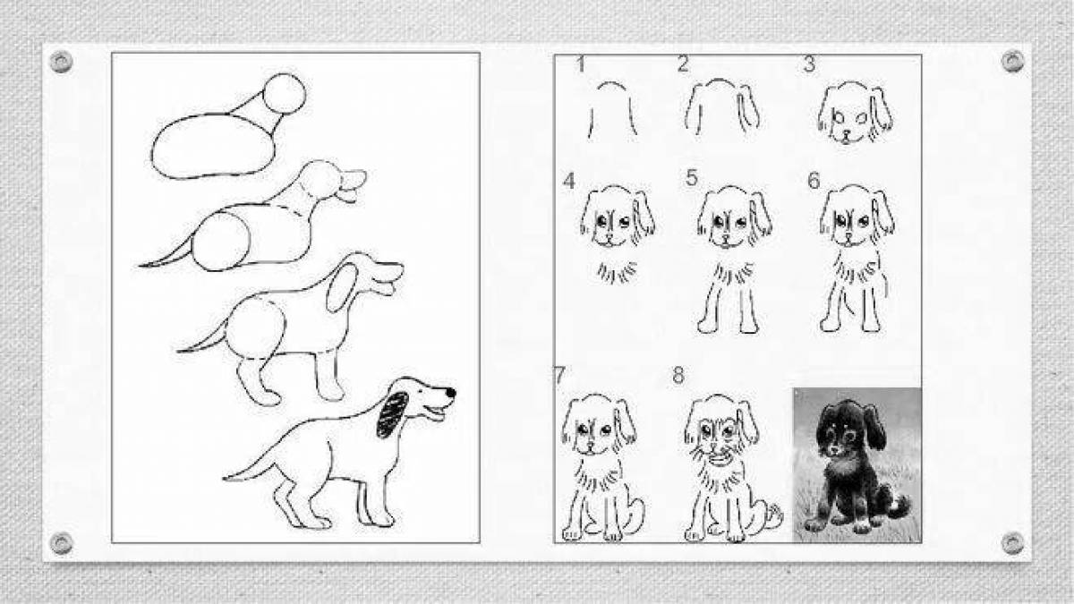 Рисунок к рассказу барбос и жулька легко. Схема рисования собаки для детей старшей группы. Собака для рисования для детей. Рисунок Барбоч. Барбос и Жулька рисунок.