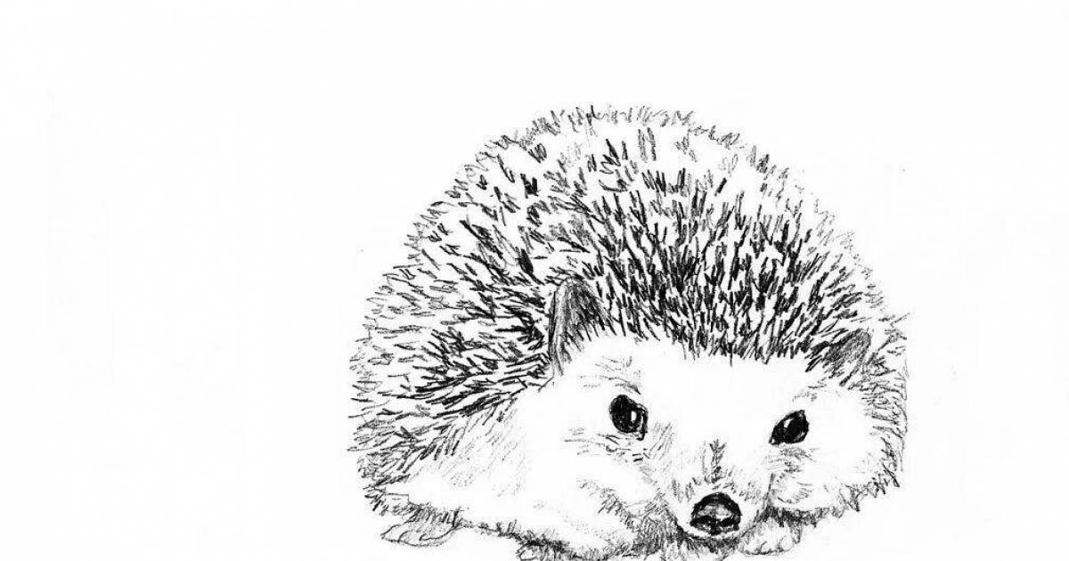 Coloring book fluffy cute hedgehog