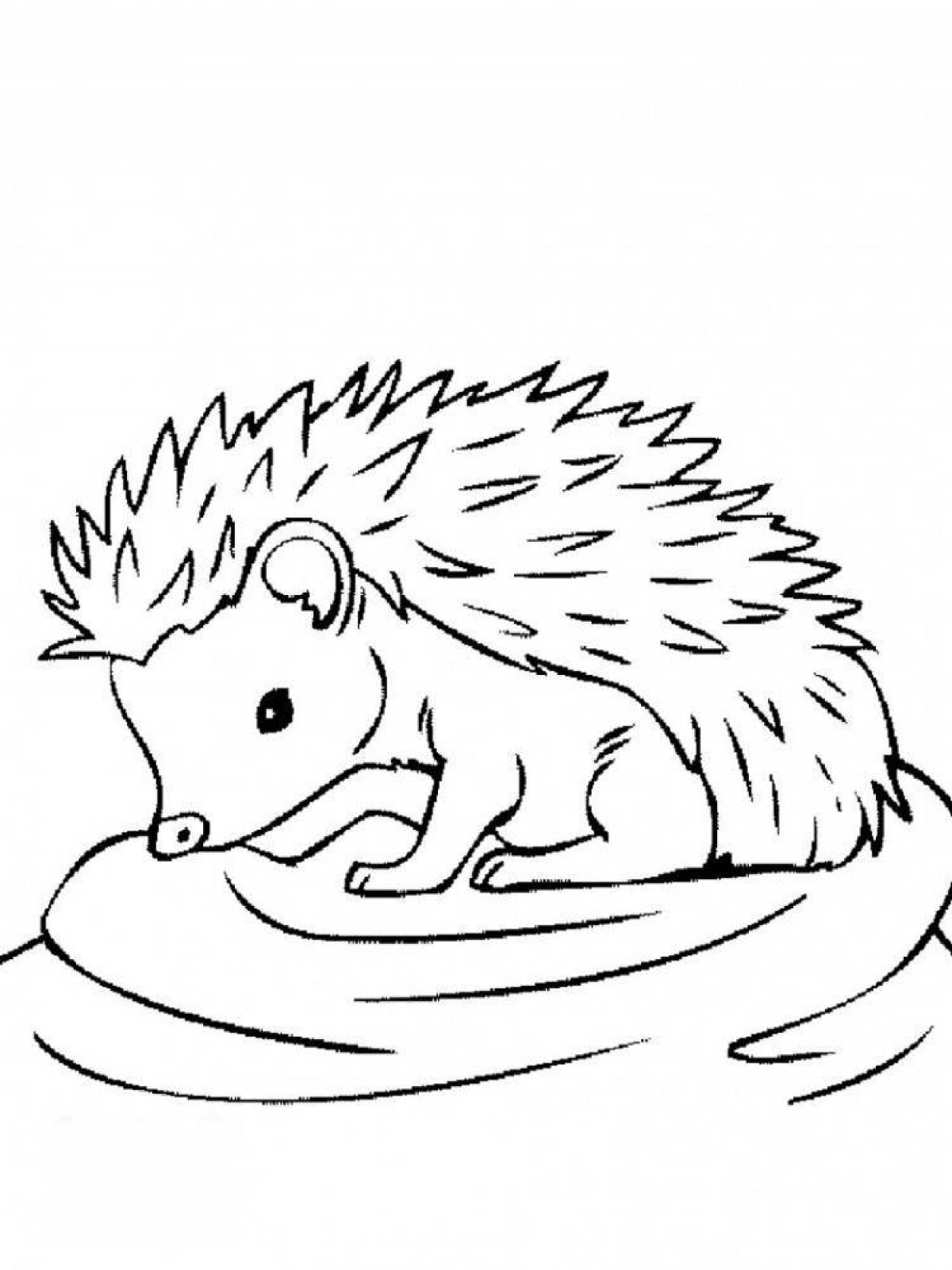 Coloring book bright and smiling hedgehog