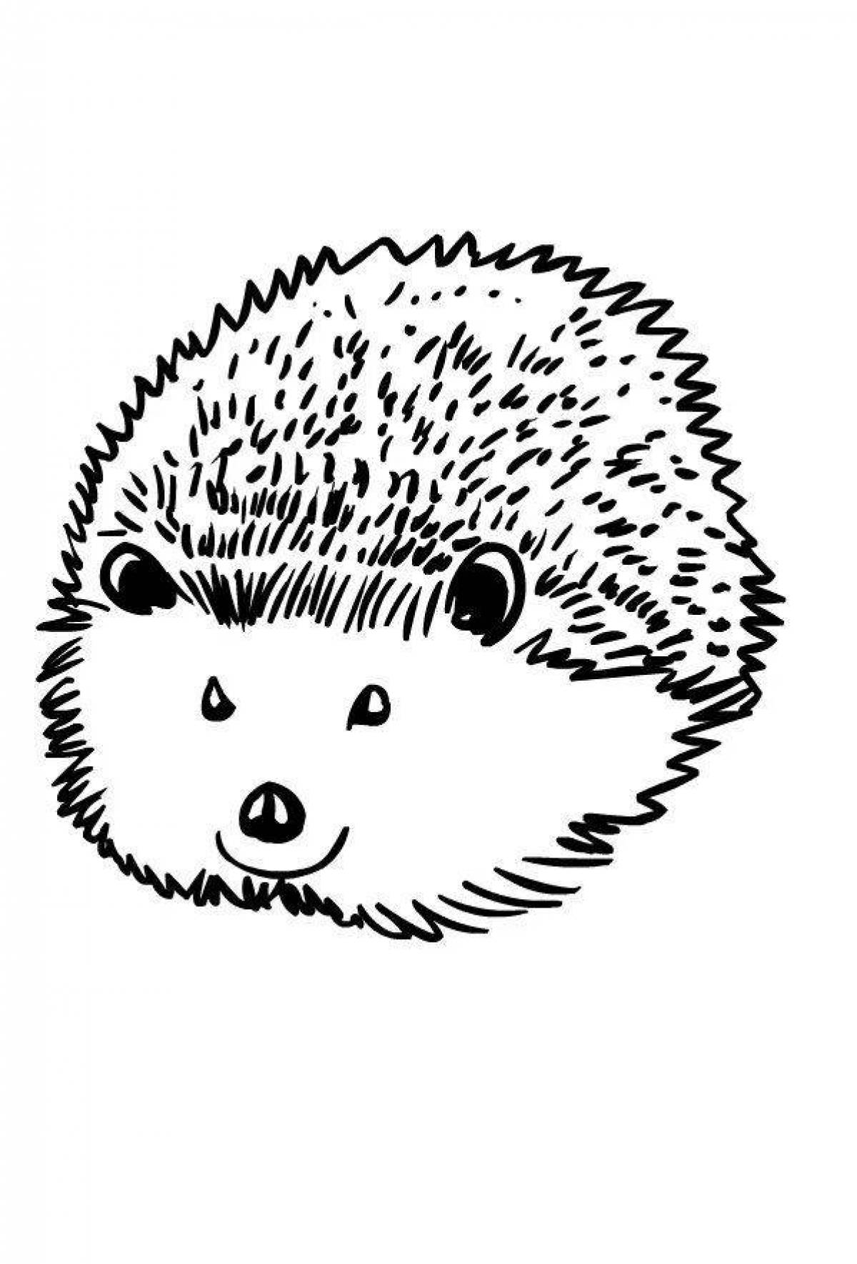 Coloring book fluffy and bright hedgehog