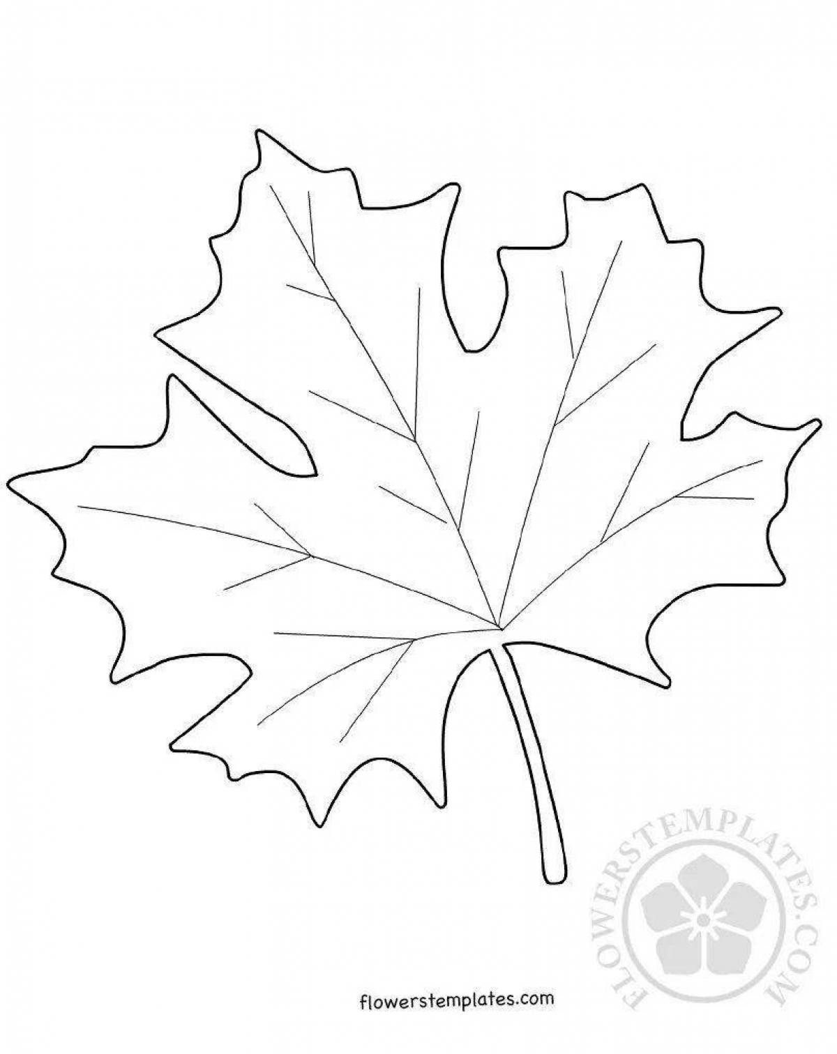 Фото Раскраска кленовый лист с насыщенными оттенками