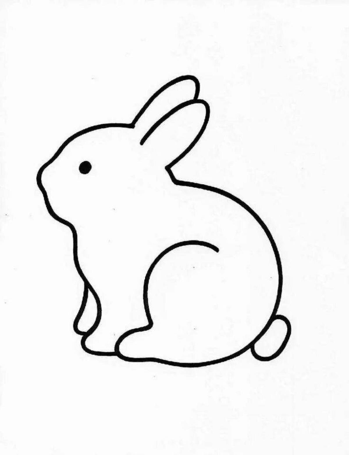 Фото Контур пушистого кролика-раскраски