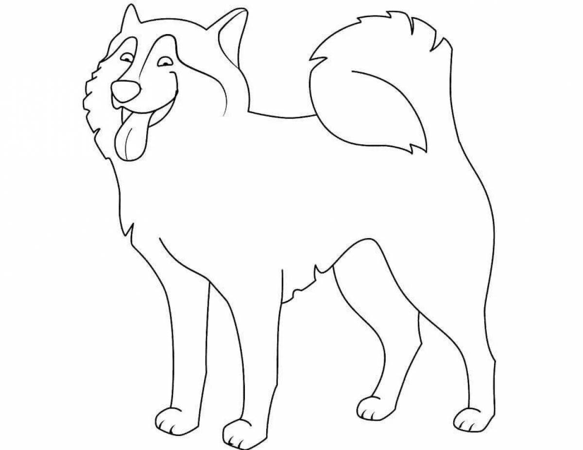 Husky soft coloring book