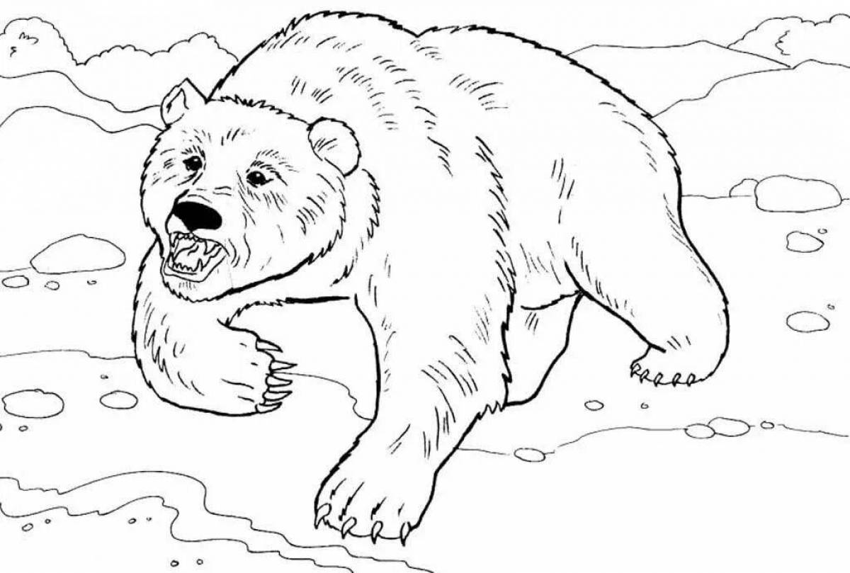 Красочная страница раскраски северного медведя
