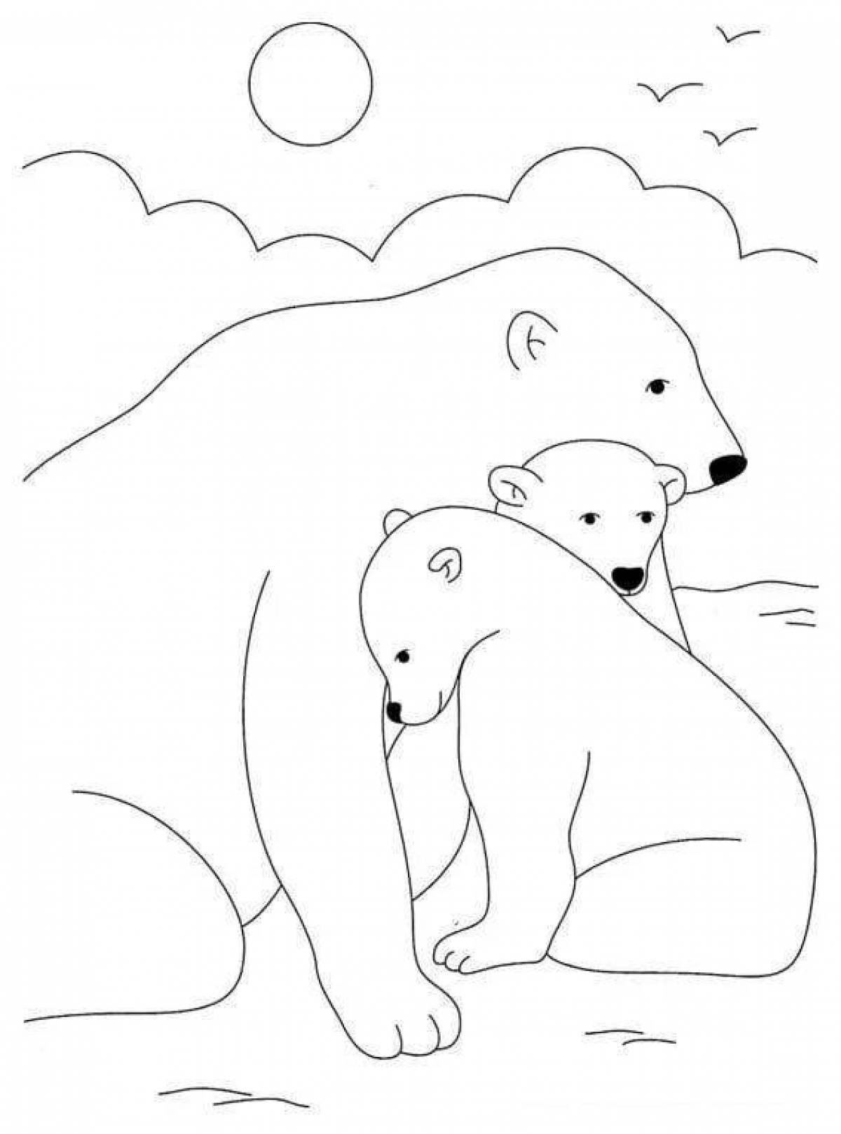 Coloring book gorgeous northern bear