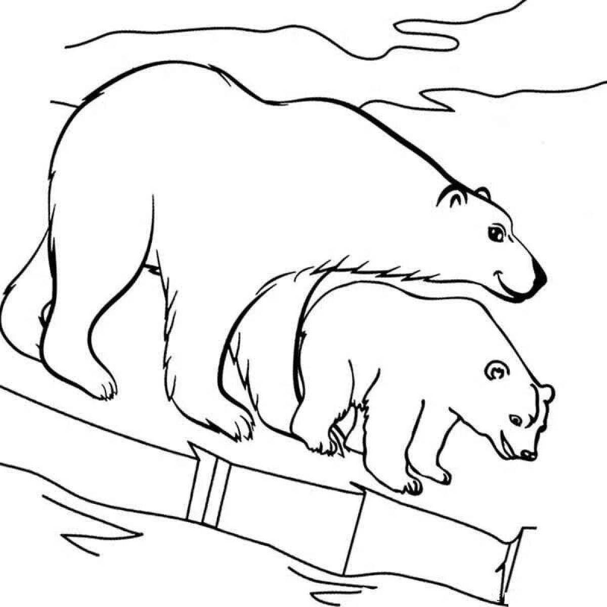 Раскраска очаровательный северный медведь