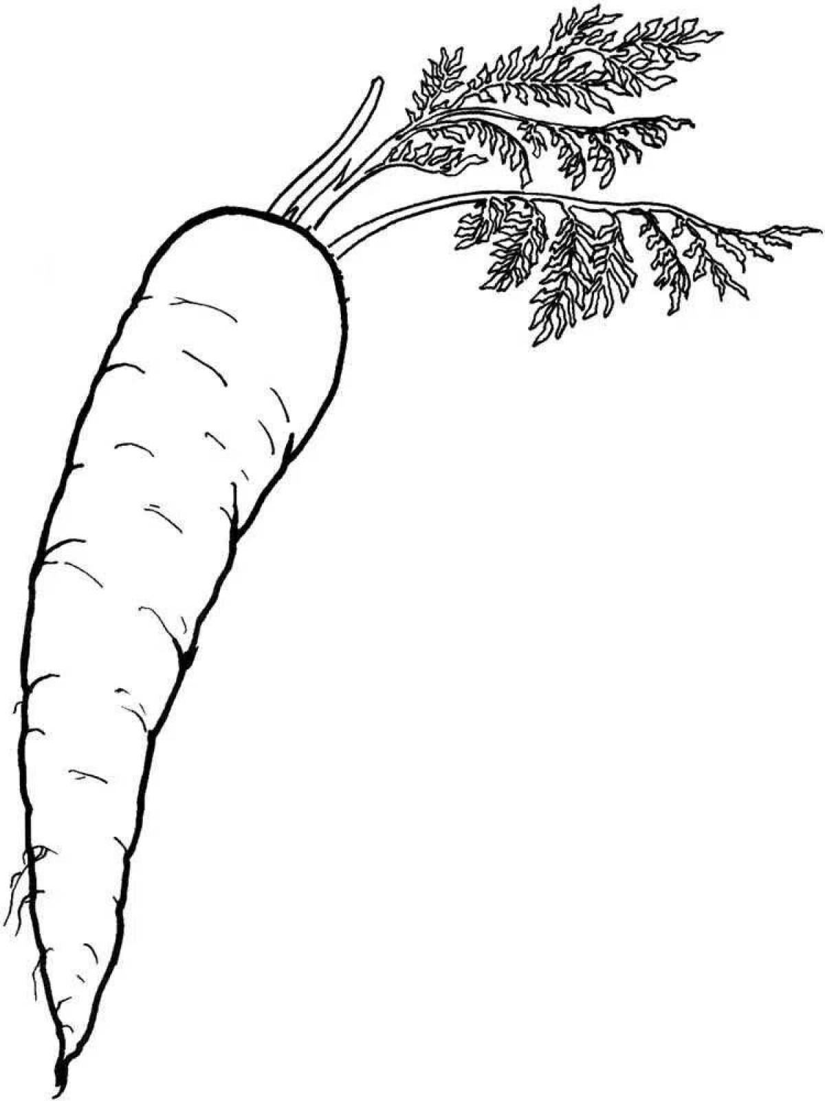 Буйный морковный рисунок