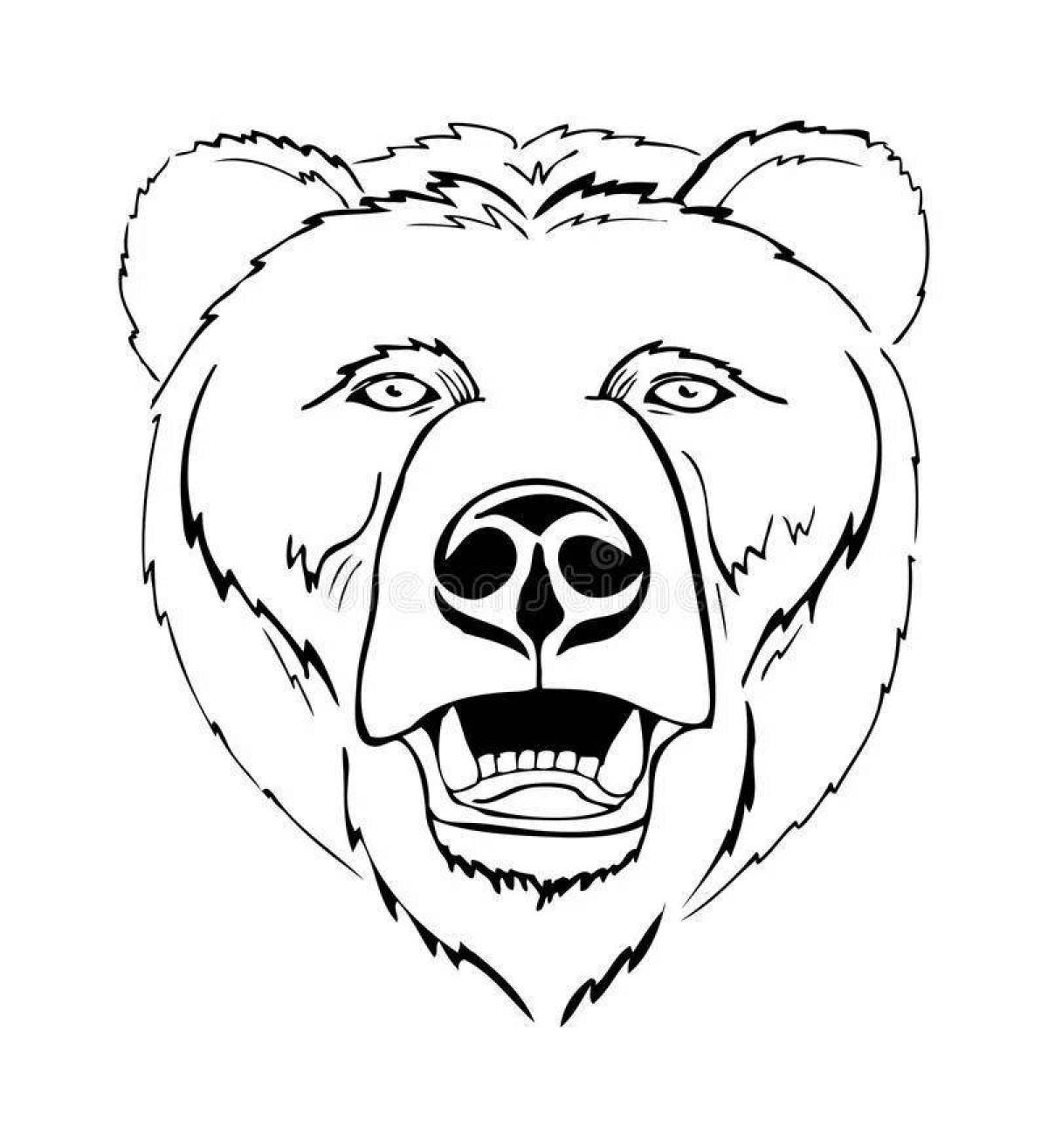 Coloring bright bear head