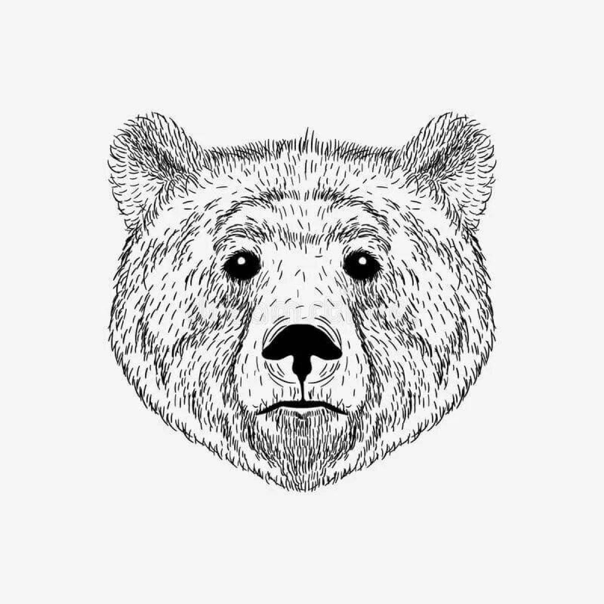 Раскраска сказочная голова медведя