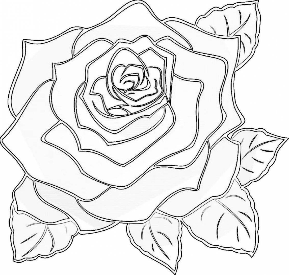 Яркая раскраска рисунок розы