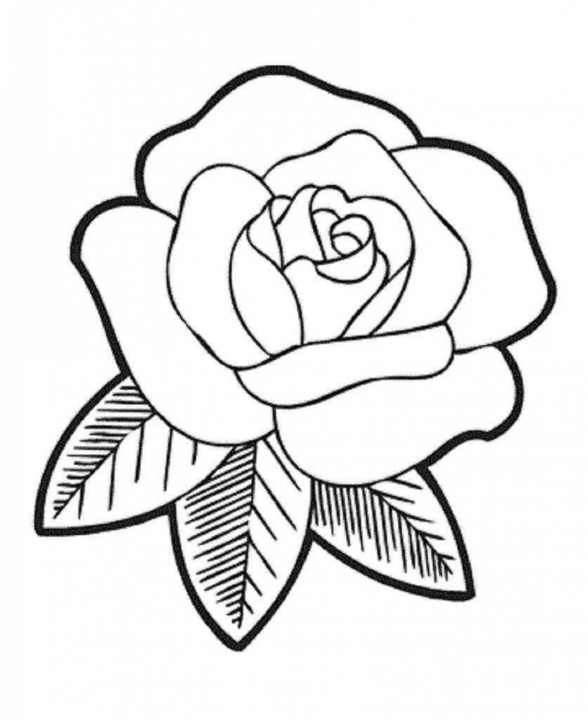 Delicate coloring picture of a rose