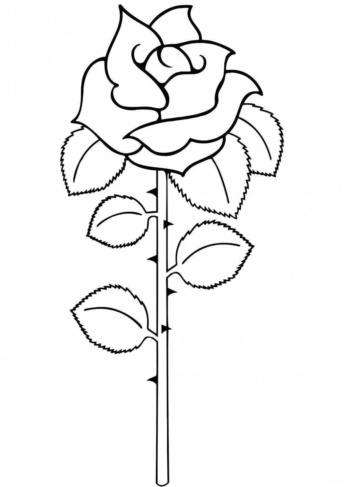 Delicate coloring drawing of a rose