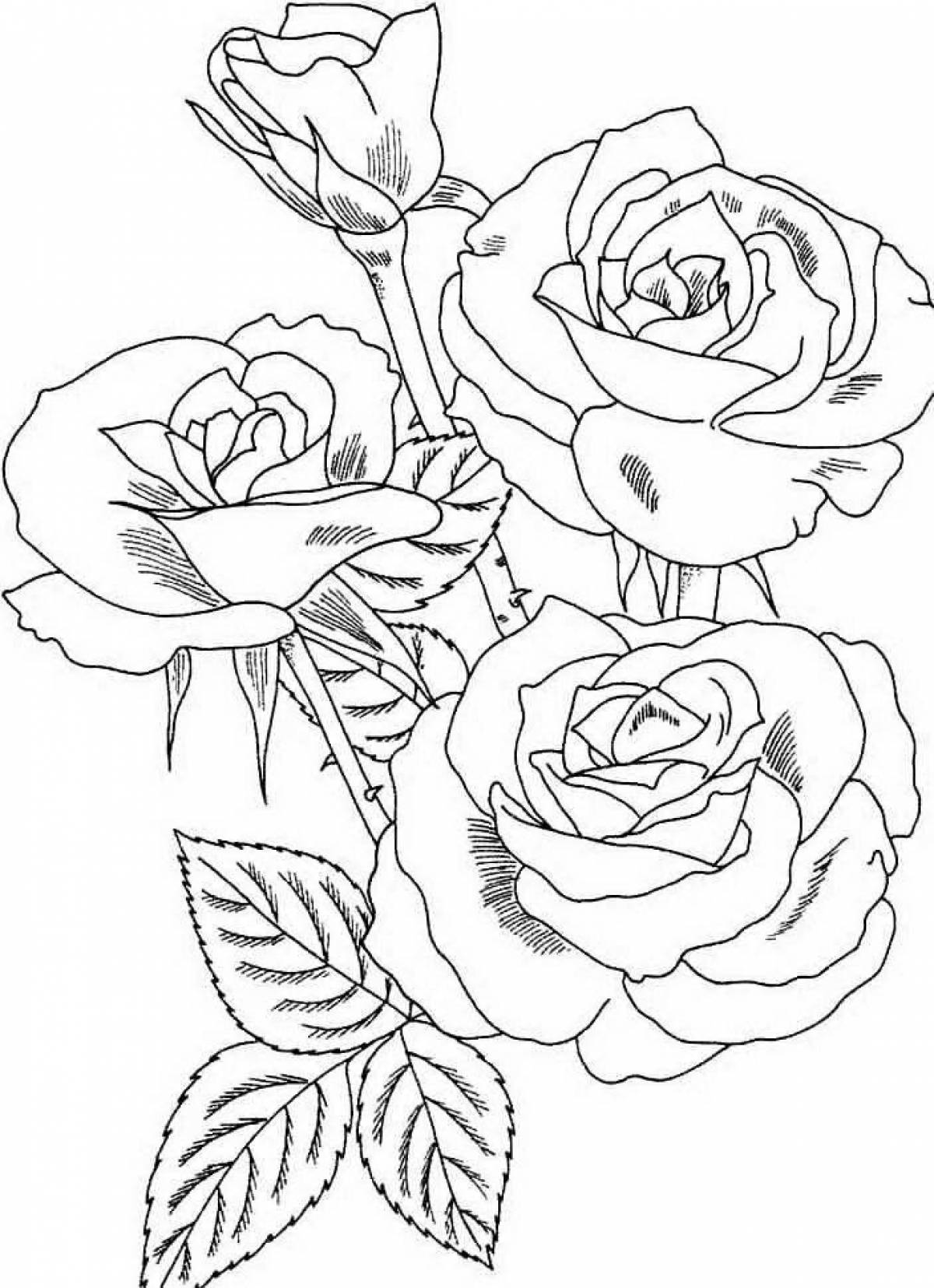 Tempting coloring picture of a rose