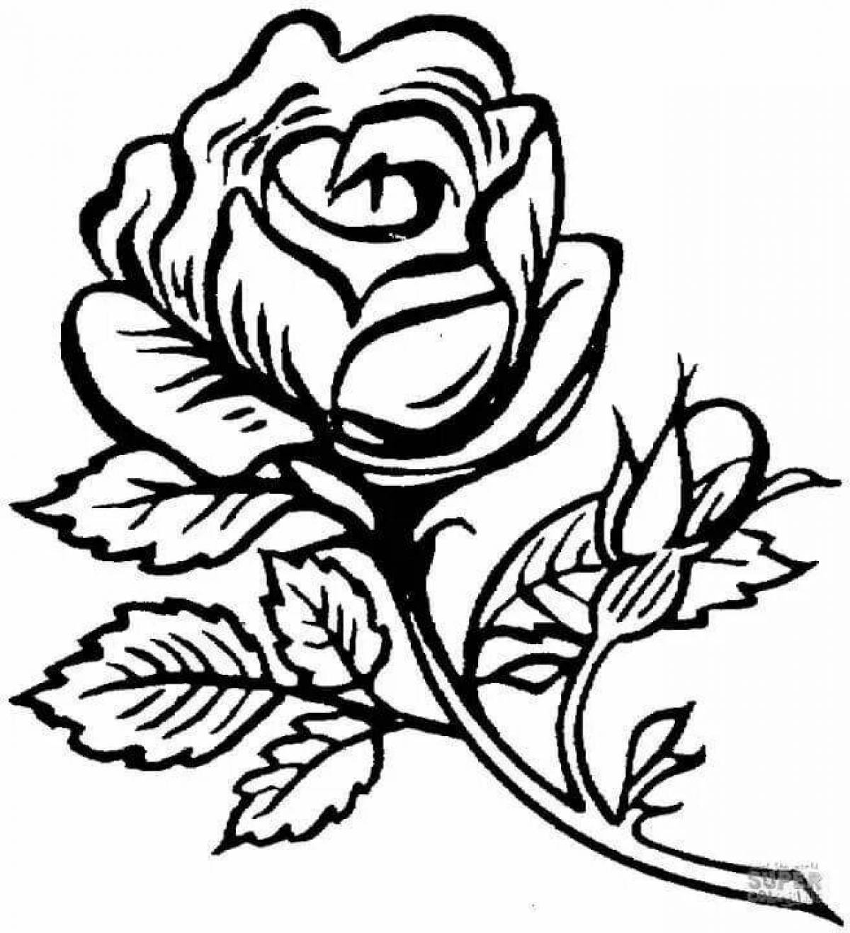 Прекрасная раскраска рисунок розы
