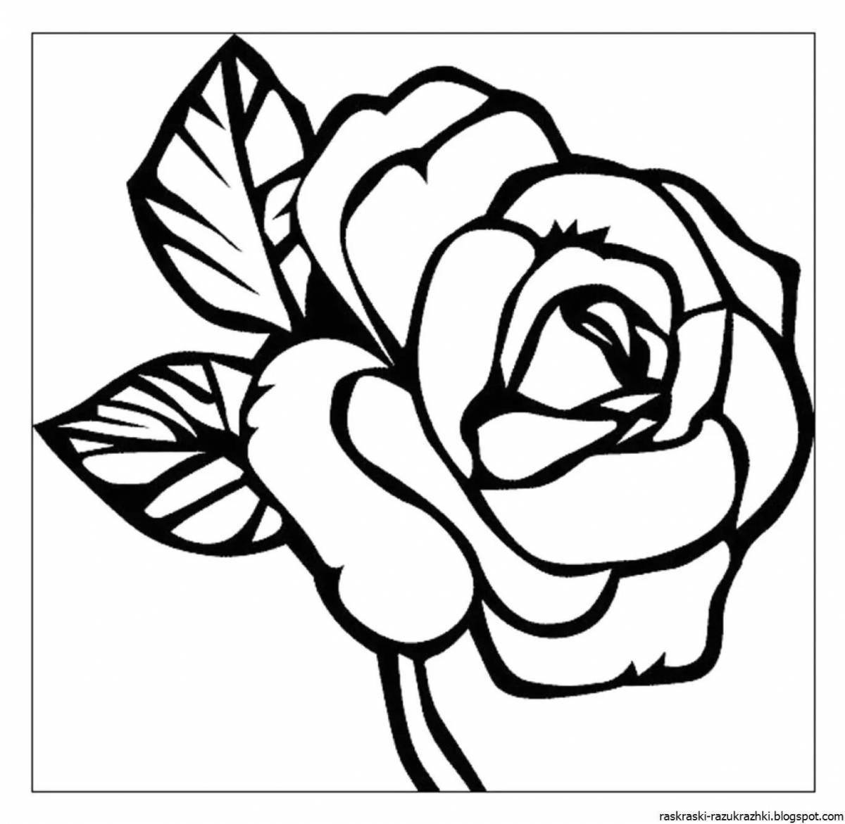 Dramatic coloring drawing of a rose