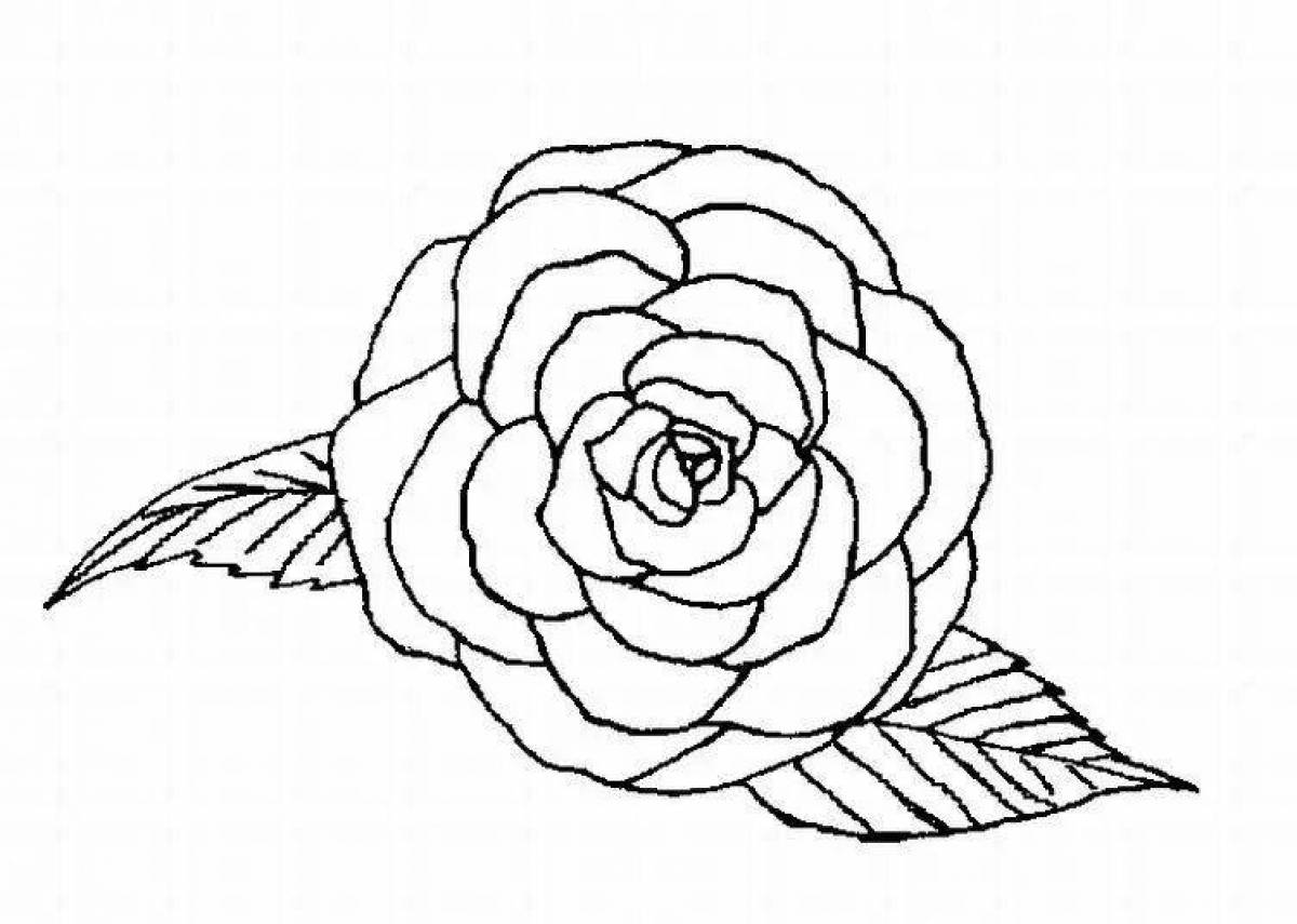 Stylish coloring drawing of a rose