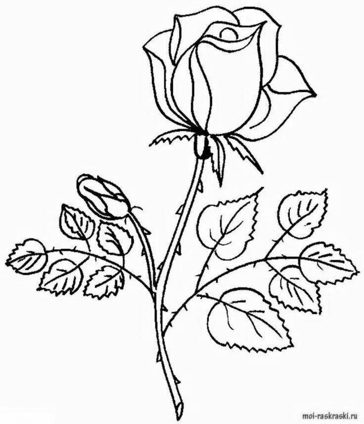 Безмятежная раскраска страница рисунок розы