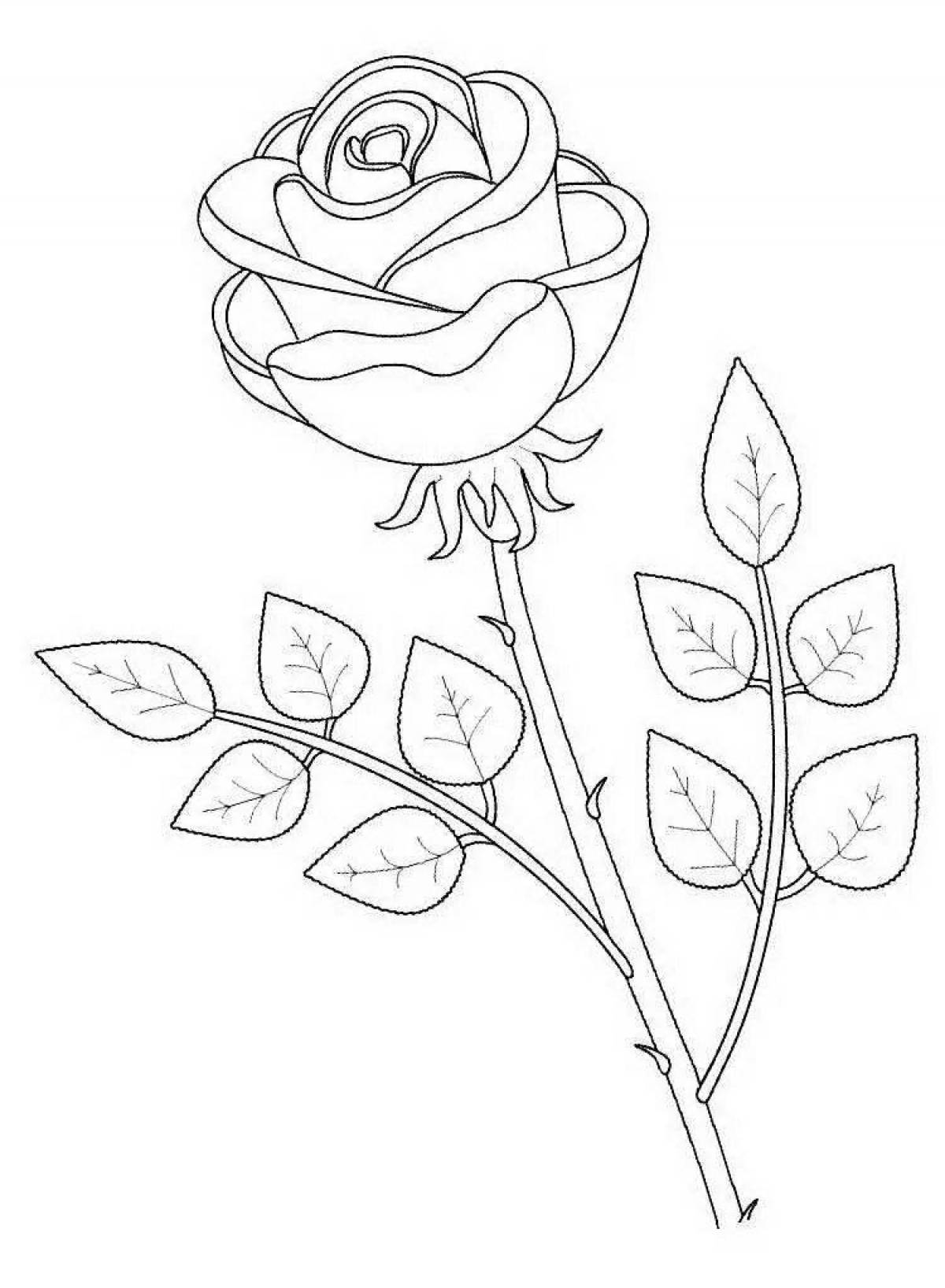 Essential coloring drawing of a rose