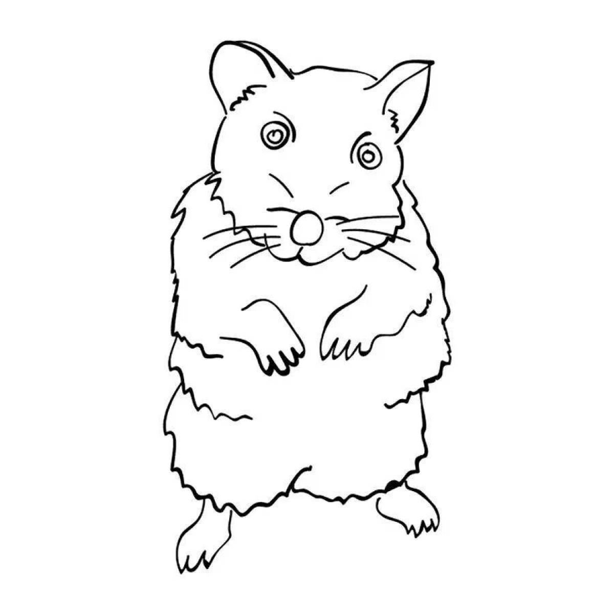 Colorful coloring drawing of a hamster