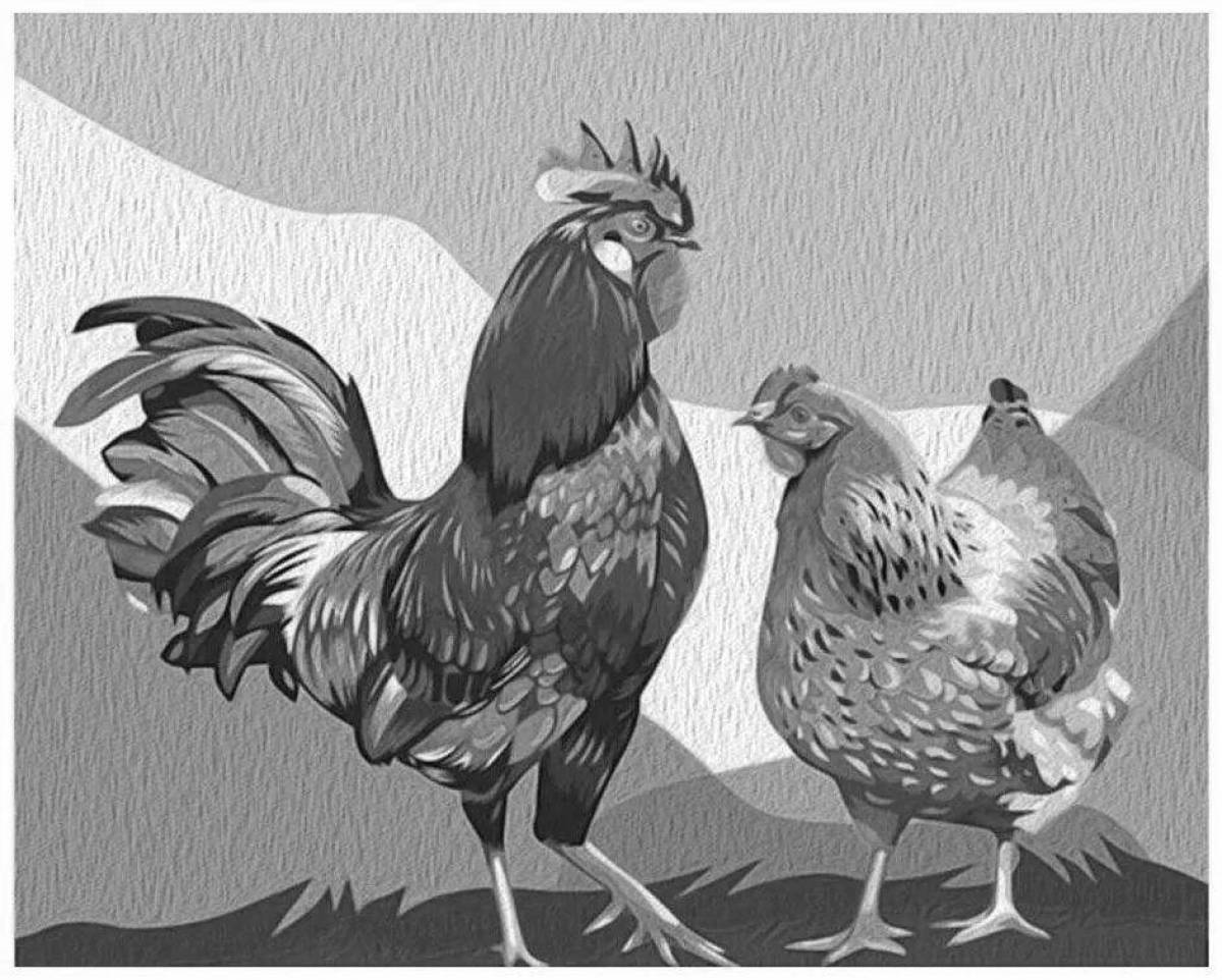 Live rooster coloring by numbers