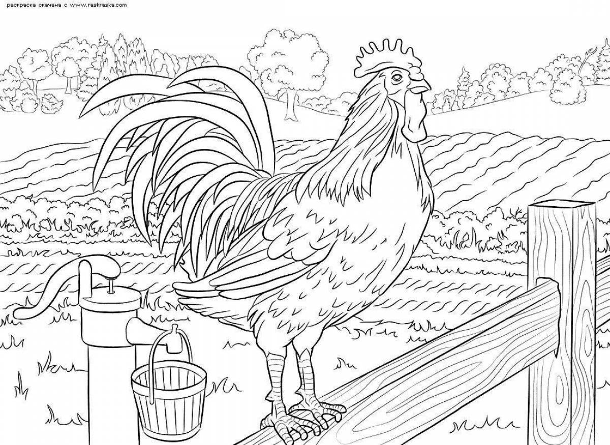 Rooster coloring by numbers