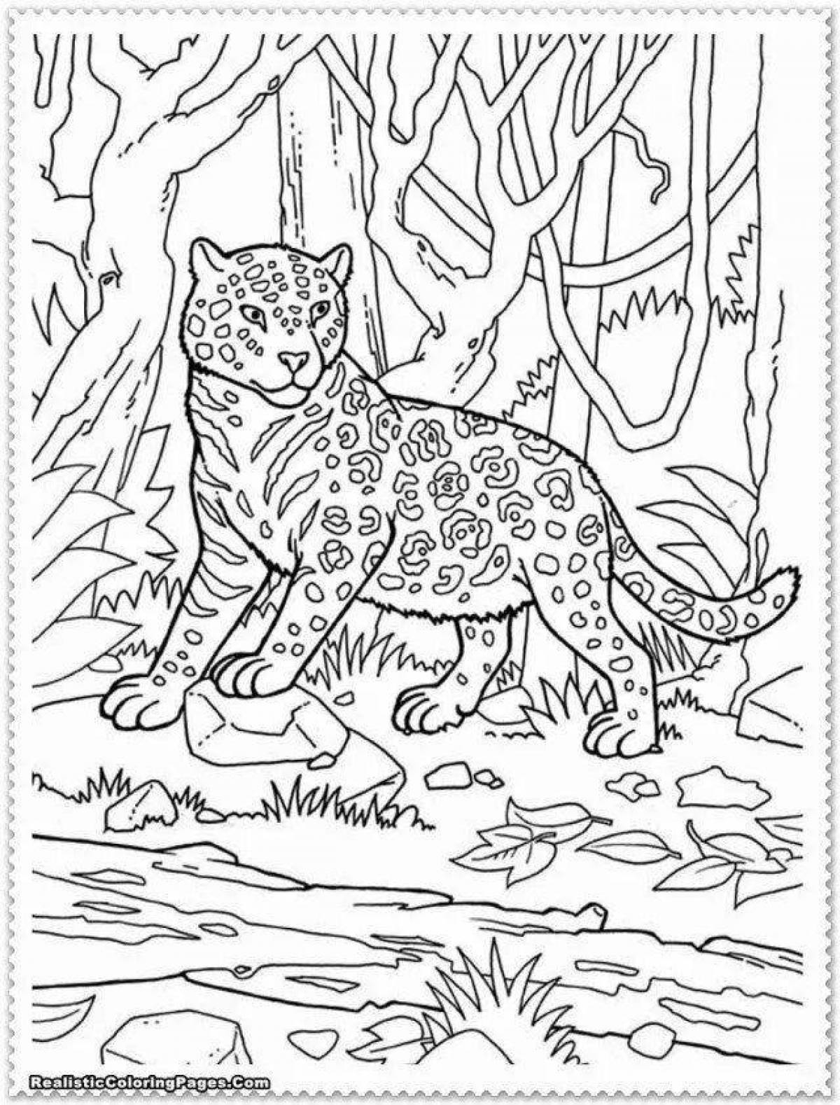 Adorable jungle animal coloring book