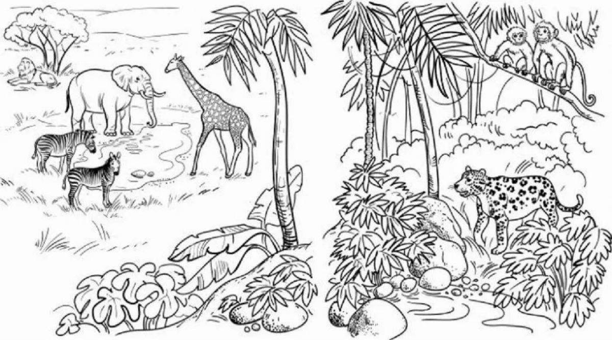 Coloring book of nice jungle animals