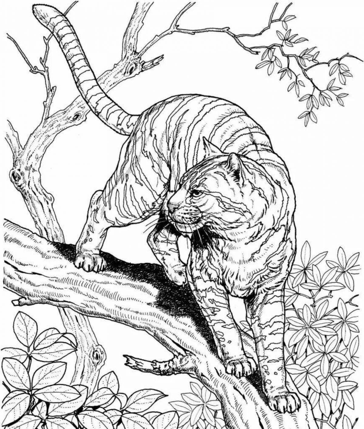 Exciting jungle animal coloring pages